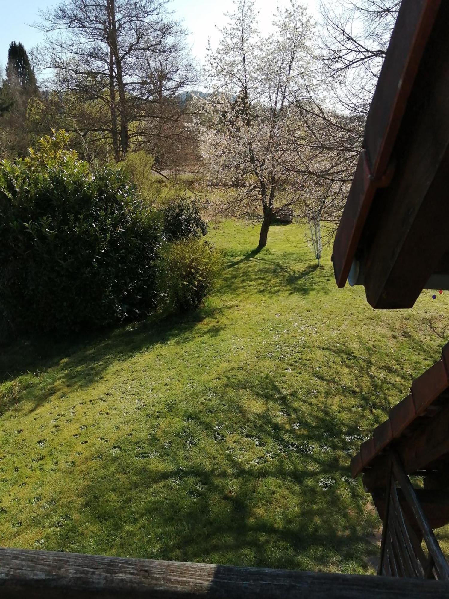 Gite 1 Etage Dambach Εξωτερικό φωτογραφία